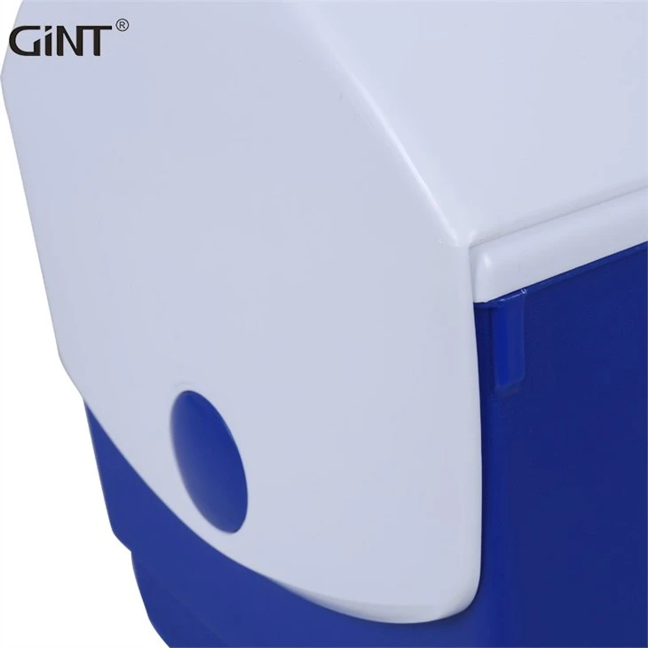 Medical Cooler Box 10 L Vaccine Carrier